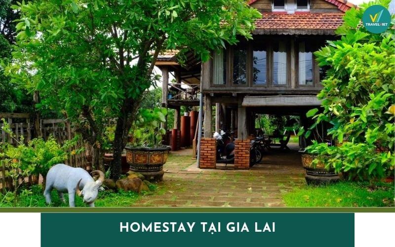 Top 9 Homestay tại Gia Lai đẹp, giá tốt, tiện nghi
