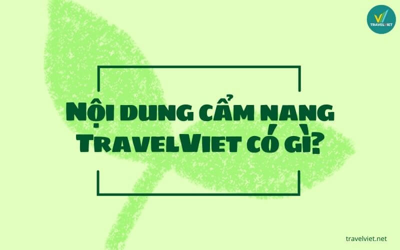 TravelViet ハンドブックの内容は何ですか?