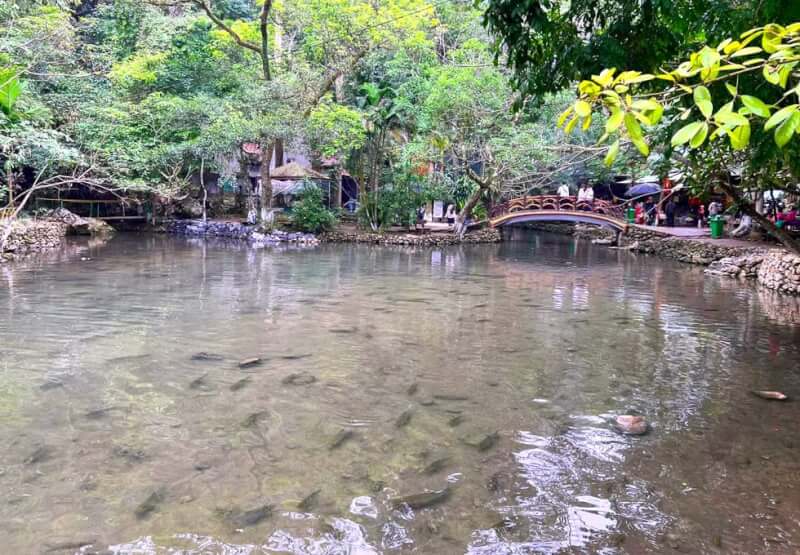 일년 내내 맑은 샘물