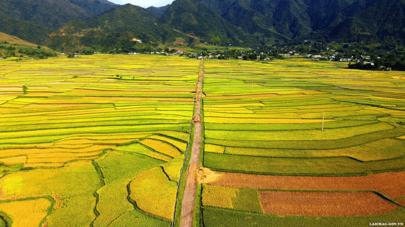 Tam Duong terraced fields