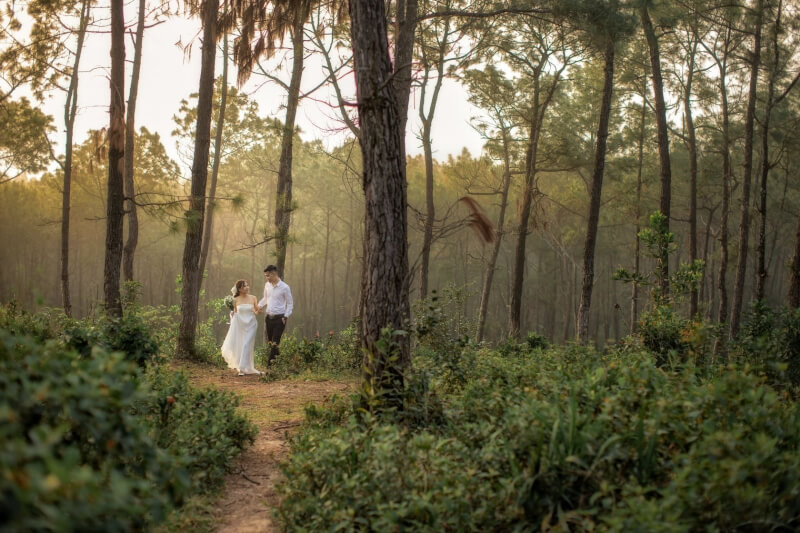 부부는 Thien An 언덕에서 웨딩 사진을 찍었습니다.