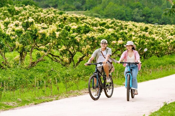 Khu du lịch sinh thái Hồ Bầu Tiên