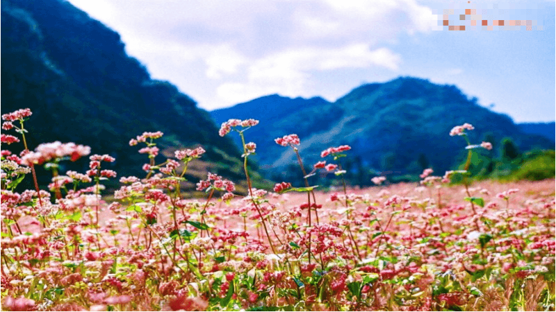 ナダン滝エコツーリズムエリア