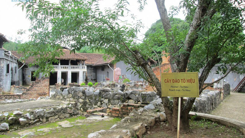 山罗监狱和苏晓桃树