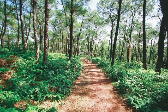 ティエンアン丘～トゥイティエン湖
