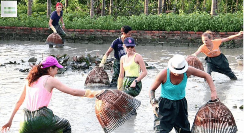 Du lịch làng quê Yên Đức