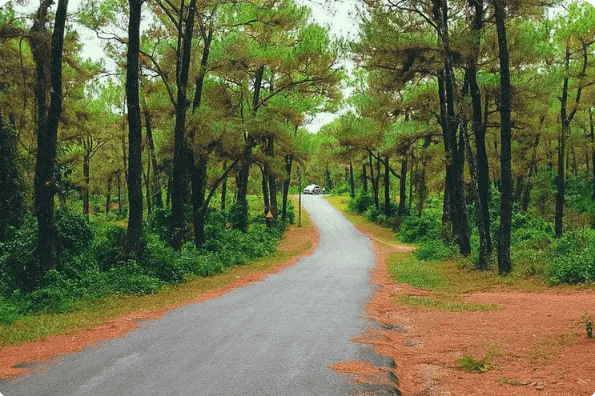 ティエンアン丘～トゥイティエン湖