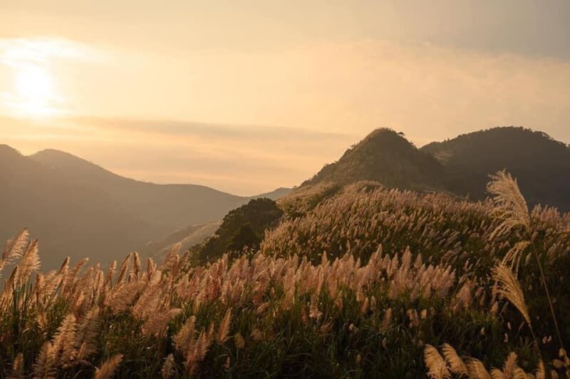 Doi Bu 的狂野自然美景