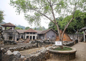 山罗监狱和苏晓桃树