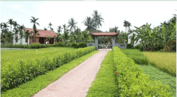 Du lịch làng quê Yên Đức