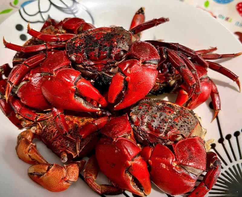 Chù Ụ Vĩnh Long: Vẻ Ngoài Sầu Bi, Hương Vị Ngọt Lịm