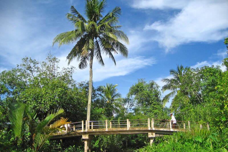 Trải Nghiệm Cuộc Sống Sông Nước Đầy Thú Vị Tại Giồng Trôm