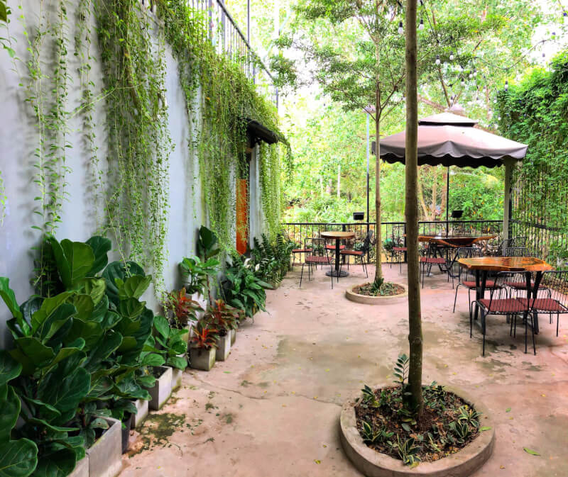 Central Coffee Vĩnh Long: Nơi Những Câu Chuyện Bắt Đầu