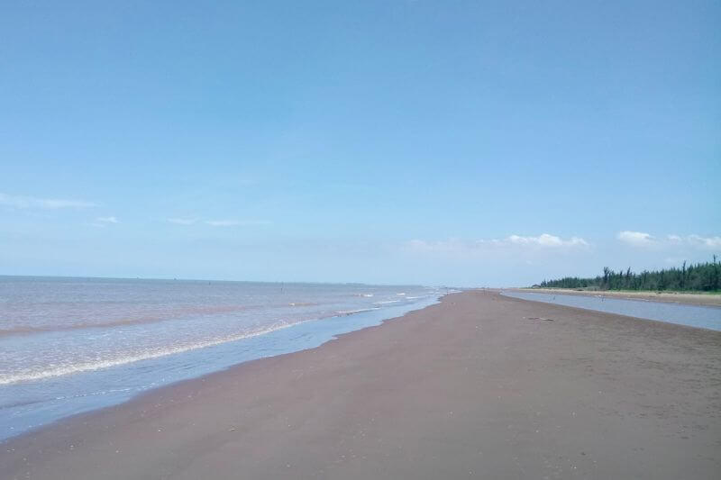 Khám Phá Vẻ Đẹp Hoang Sơ Của Biển Cồn Bửng Vĩnh Long