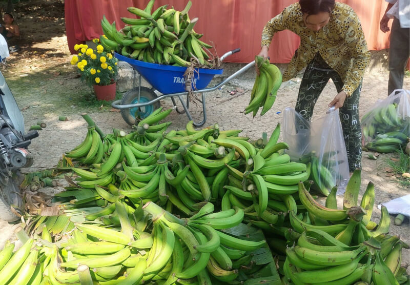 Chuối Tá Quạ: Đặc Sản Trứ Danh Không Thể Bỏ Qua