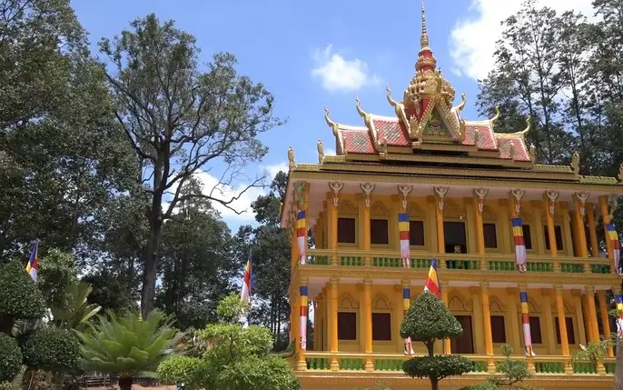 Những Câu Chuyện Tâm Linh Ly Kỳ Dưới Gốc Sao Chùa Ba Phố