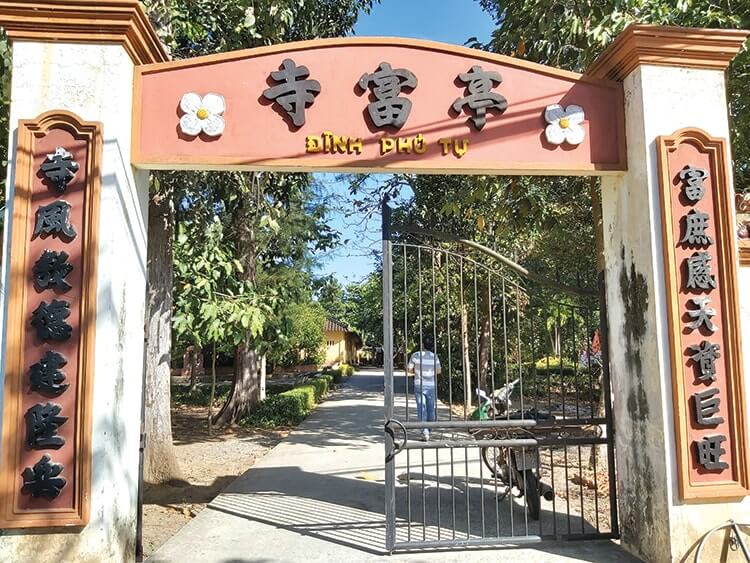 Chuyện Chưa Kể Về Thần Mai Ba Trăm Năm Tuổi Ở Đình Phú Tự