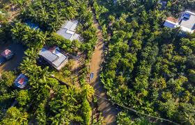 Về Vĩnh Long Ghé Thăm Ốc Đảo Cồn Phụng Bình Yên Giữa Dòng Sông Tiền