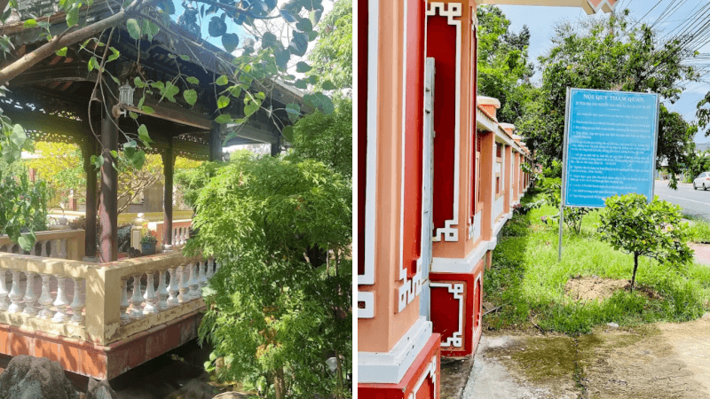 Tiếng lá xào xạc