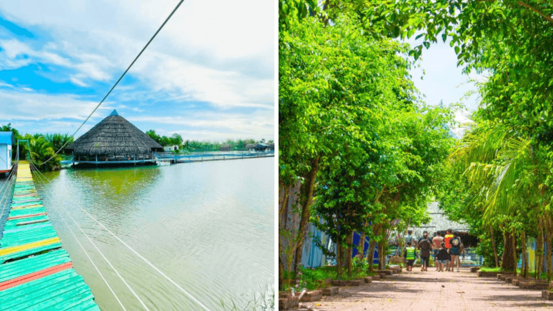 Một chuyến hành trình về với miền quê Tam Bình