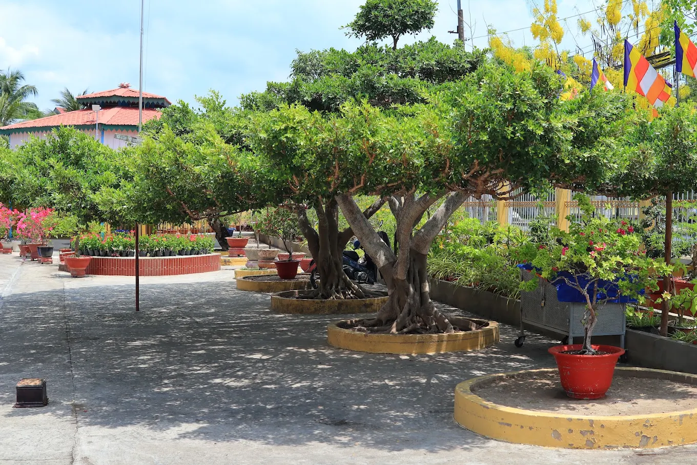 Xung quanh sân bài trí rất nhiều chậu hoa