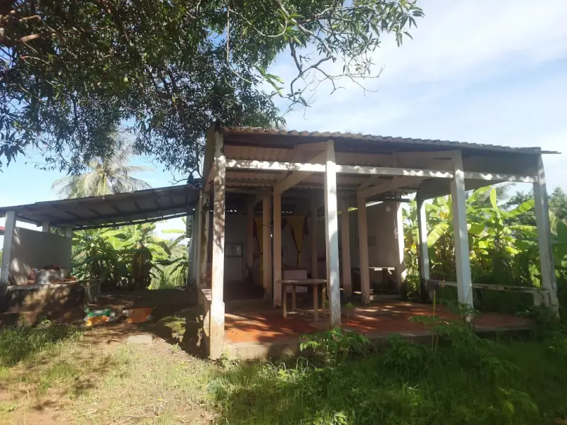 Lăng Ông Cồn Tàu: Bản Hùng Ca Giữa Sóng Gió Trường Long Hòa