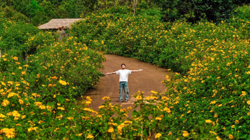ワイルドフラワー フェスティバル & ヘリテージ フェスティバル