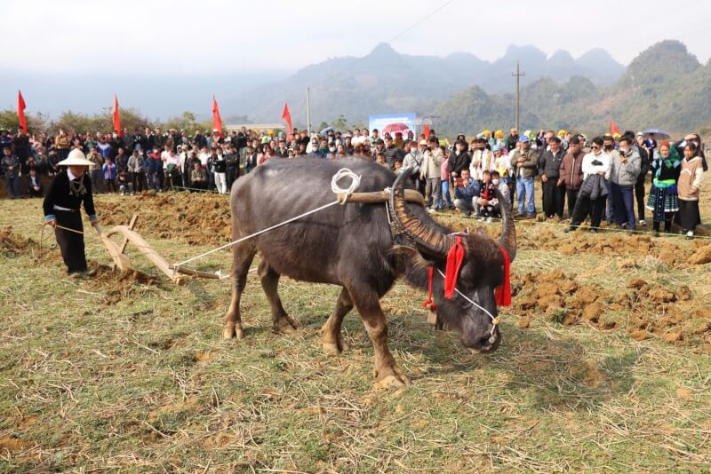 Gau Tao 축제(Grauk Taox Cha)