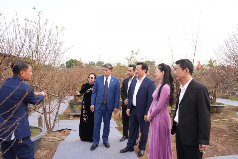 Lễ hội “Đào Nhật Tân – Sắc xuân Hồng Hà”