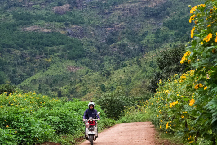 야생화축제 & 문화유산축제
