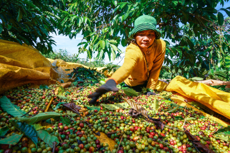 2025 글로벌 커피 헤리티지 페스티벌
