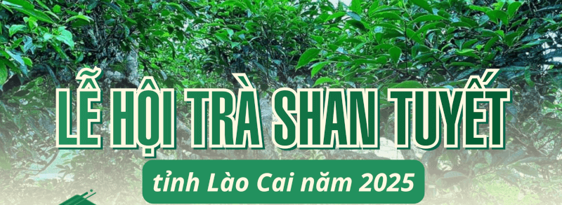 Lễ hội Trà Shan tuyết