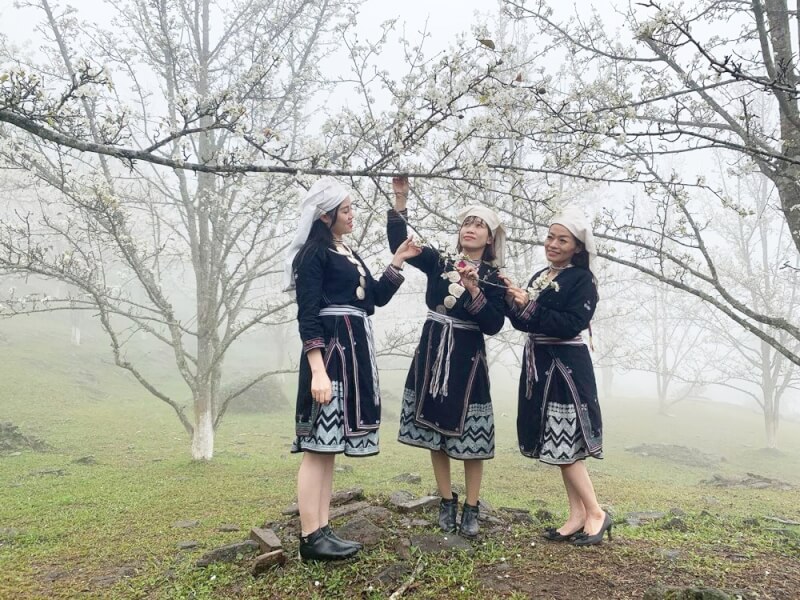 Le flower festival in Hong Thai commune