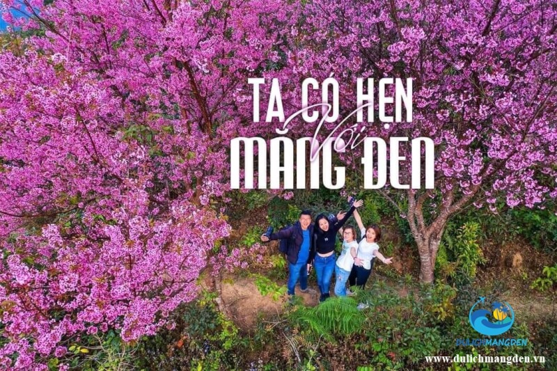 Chuỗi lễ hội chào năm mới 2026