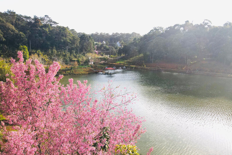 Chuỗi lễ hội chào năm mới 2026