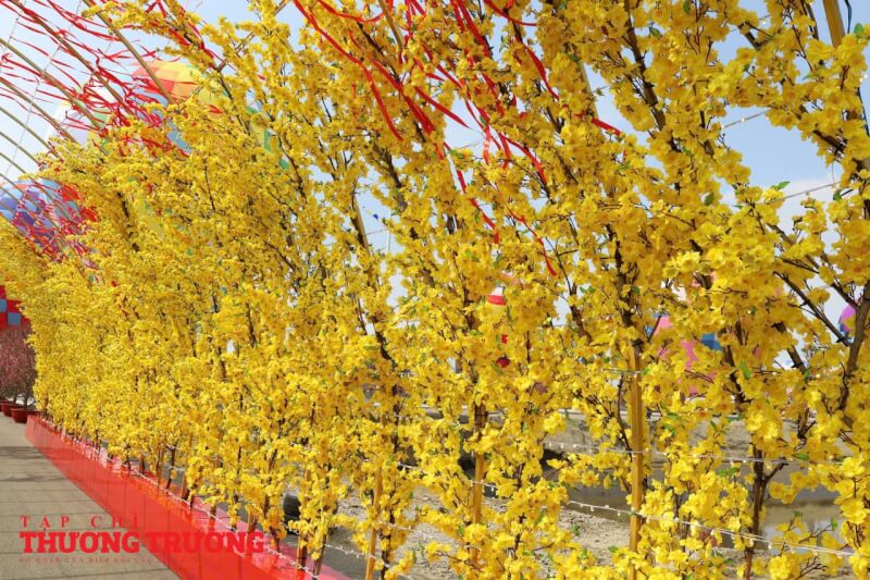 Lễ hội trong lễ hội