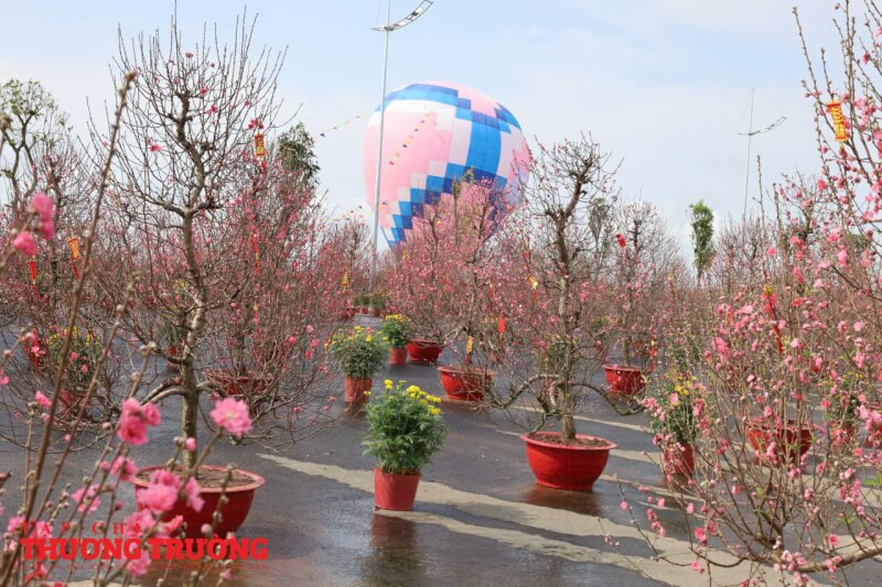 Lễ hội trong lễ hội