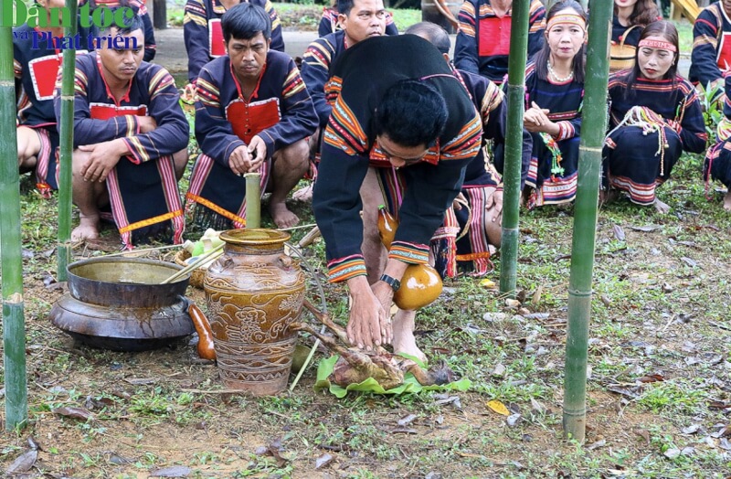 Lễ mừng lúa mới