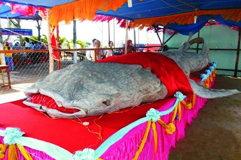 Nghinh Ca Ong Association