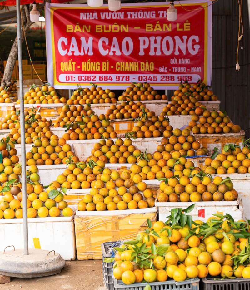 2025 까오퐁 오렌지 페스티벌