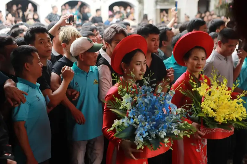 Cotton Bracing Festival