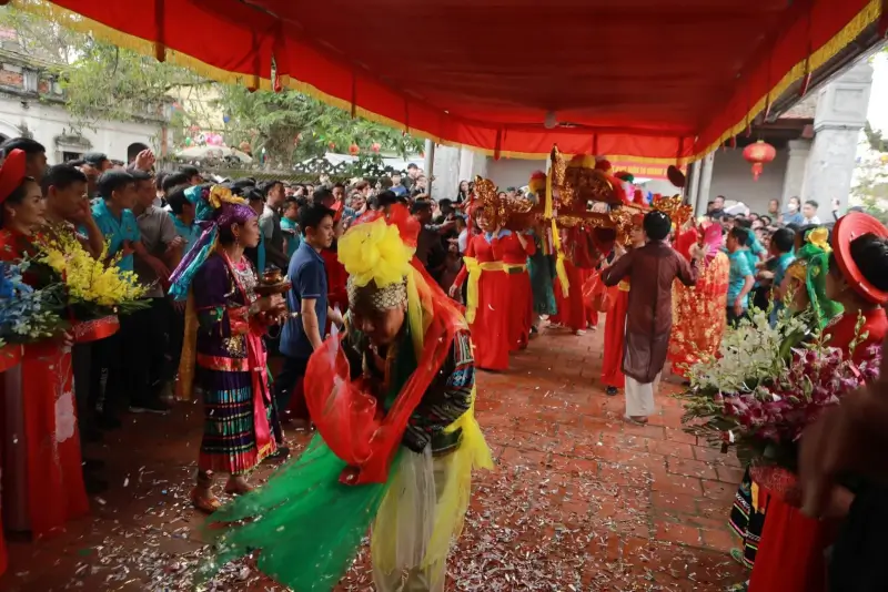 Cotton Bracing Festival