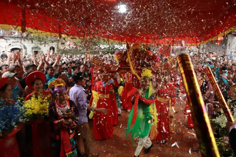 Cotton Bracing Festival