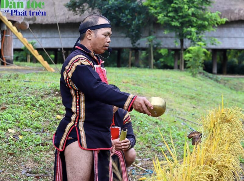 Lễ mừng lúa mới