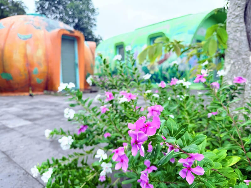 Da Lat Tien Canh Soc Son
