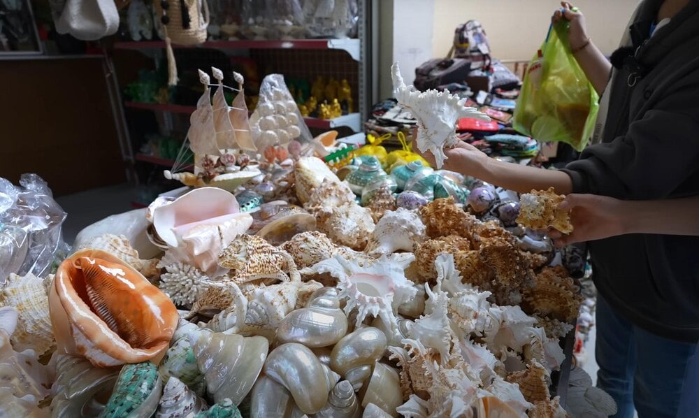 Nha Trang Dam Market