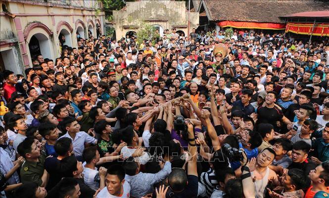 Cotton Bracing Festival