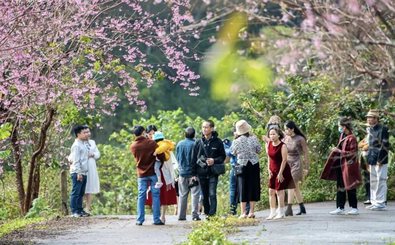 Chuỗi lễ hội chào năm mới 2026