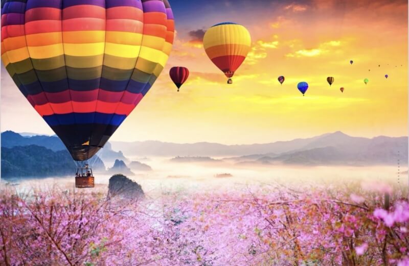 Chuỗi lễ hội chào năm mới 2026