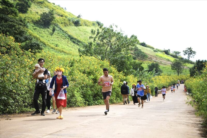 야생화축제 & 문화유산축제